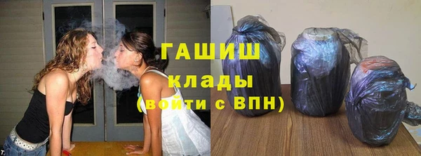хмурый Белокуриха