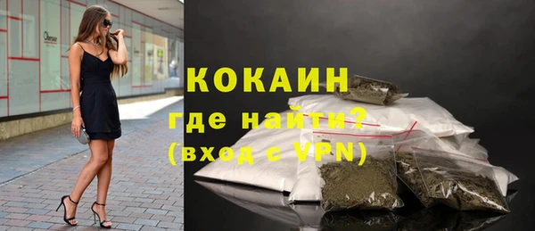 хмурый Белокуриха