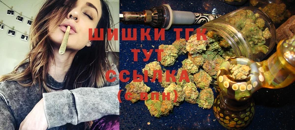 хмурый Белокуриха