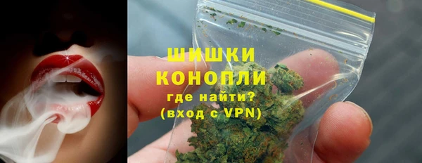 хмурый Белокуриха