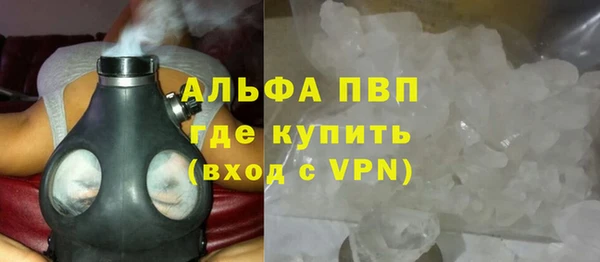 хмурый Белокуриха