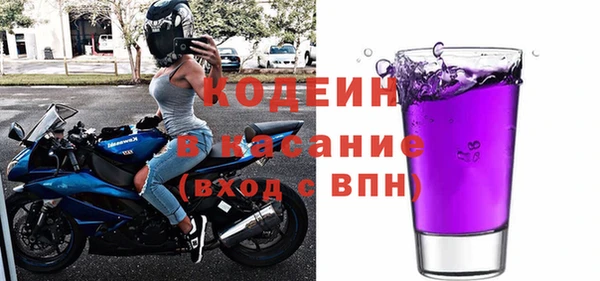 хмурый Белокуриха