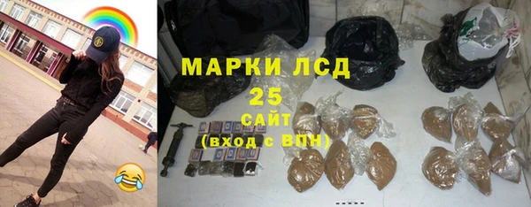 хмурый Белокуриха