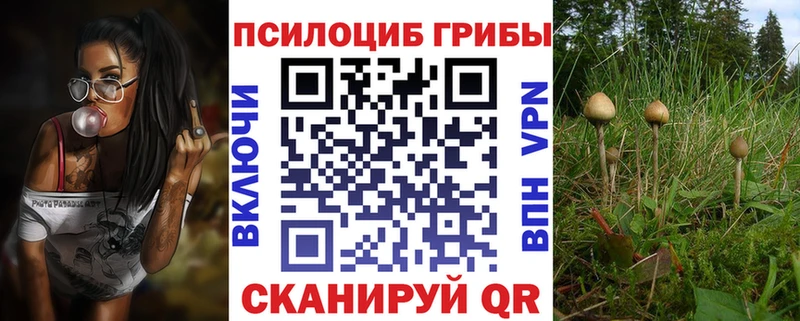 Псилоцибиновые грибы мухоморы  Дербент 